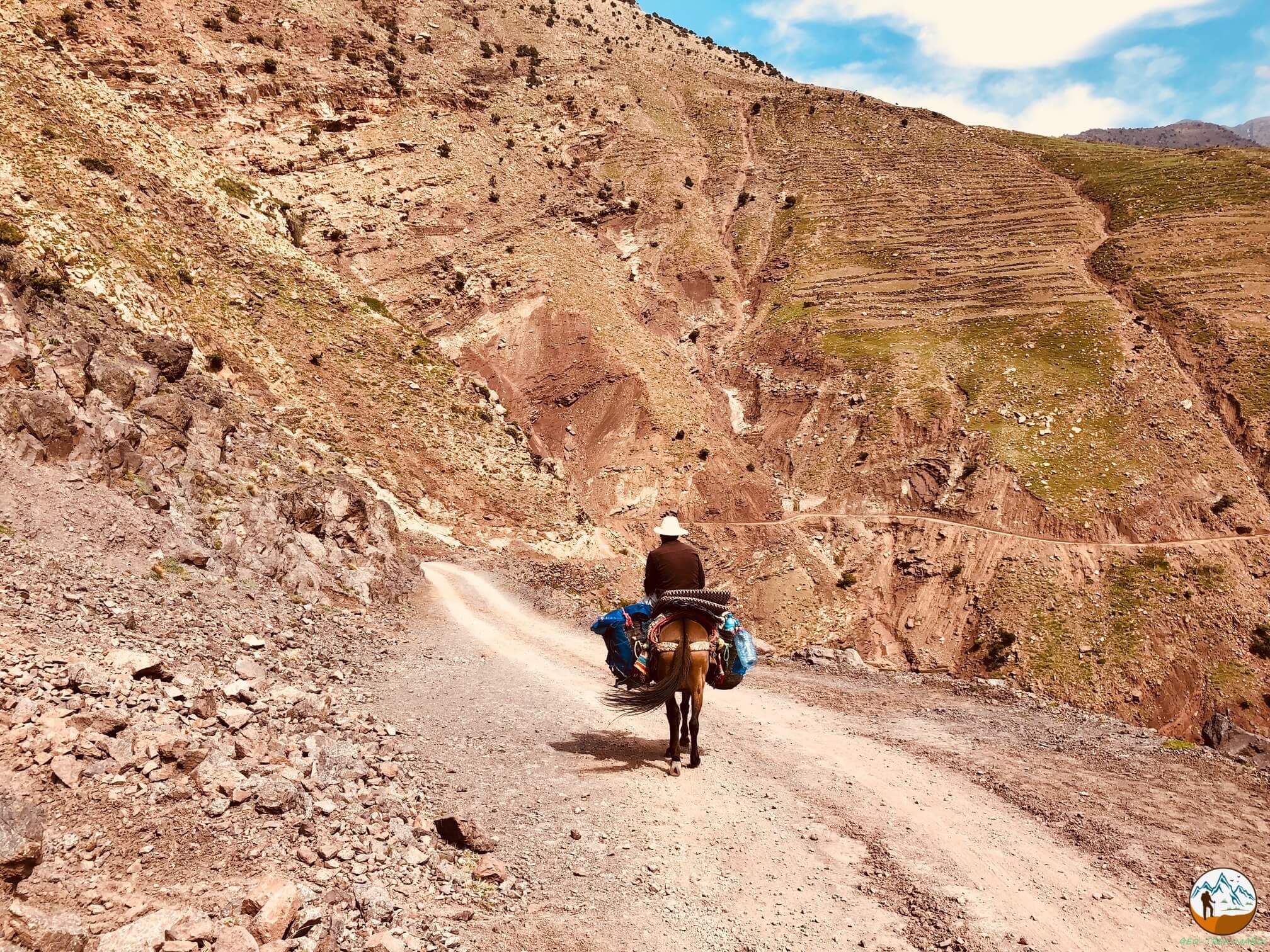 Jours De D Couverte Villages Berb Res Du Toubkal Geo Trek Maroc